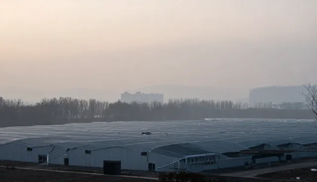 展示优化策略在企业应用中的实际问题